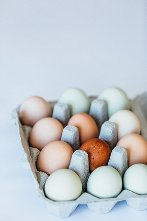 sigmt eggs-502